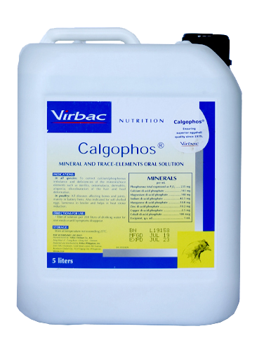 CalgoPHOS vitamínovo-minerálny prípravok pre zvieratá 5000ml