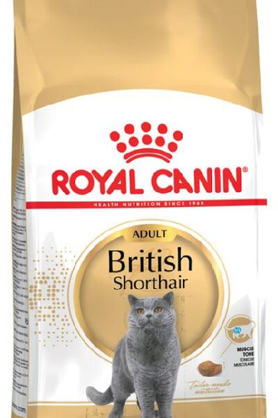 Royal Canin FBN BRITISH SHORTHAIR granule pre britské krátkosrsté mačky 10kg